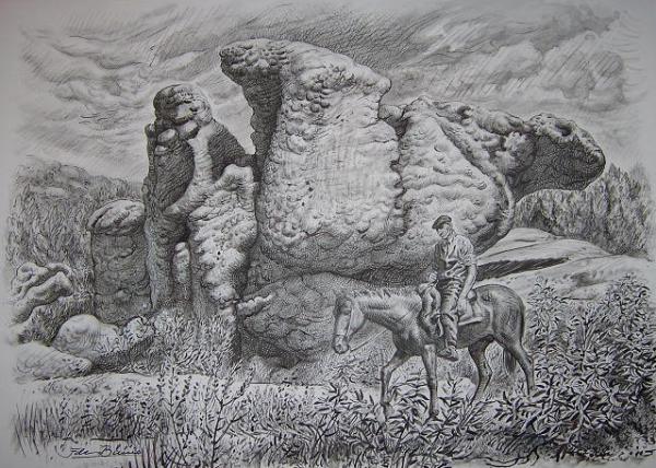 Entre rocas y jaras