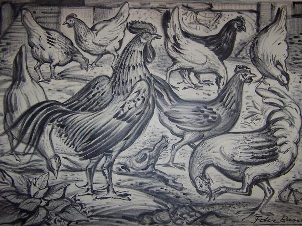 Gallo y gallinas