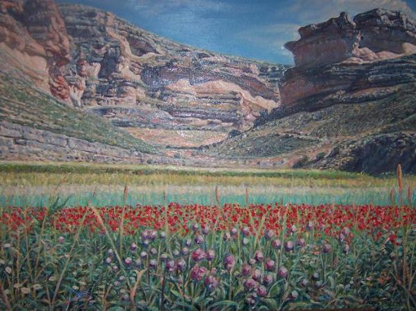 Paisaje con amapolas