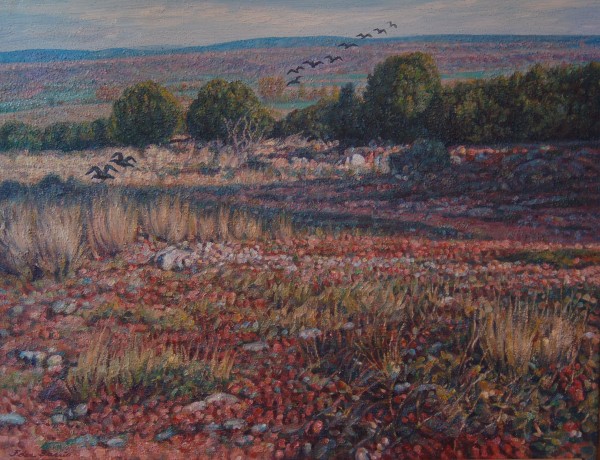 Paisaje con pájaros