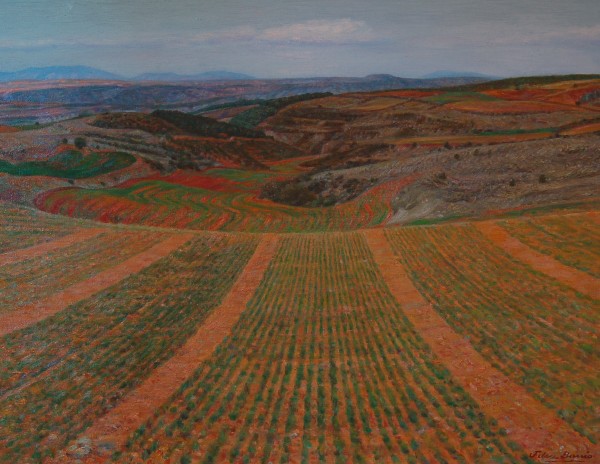 Paisaje con surcos