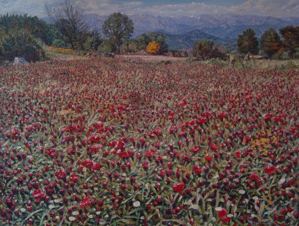 Paisaje de Gerona