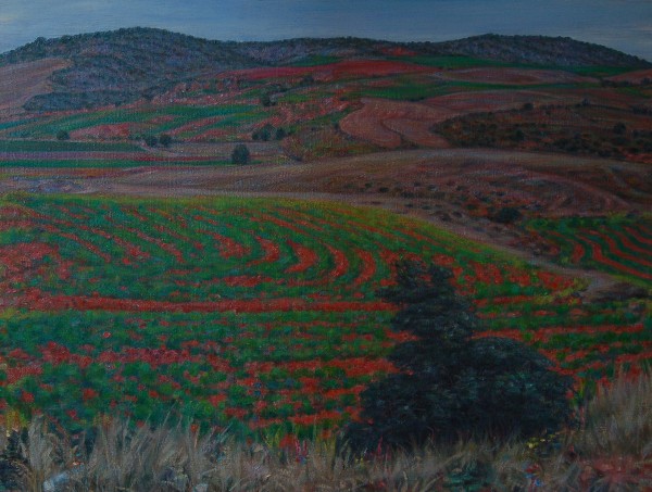 Paisaje de Zaragoza