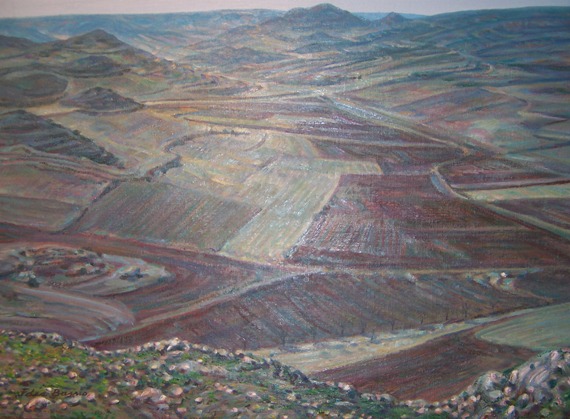 Calatañazor - tierras