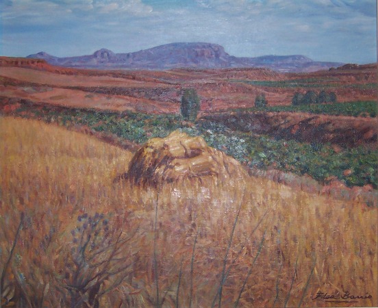 Mieses atadas - Villarroya de la Sierra