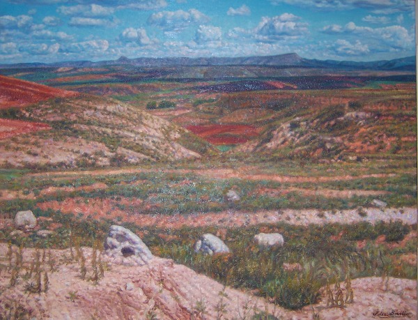 Paisaje 
