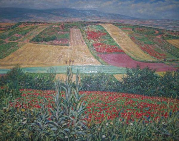 Campos en primavera