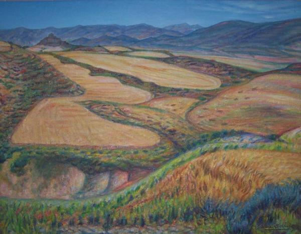 Campos