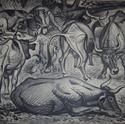 Vacas