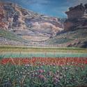 Paisaje con amapolas